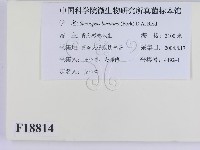 登錄號:F0018814藏品圖，第2張