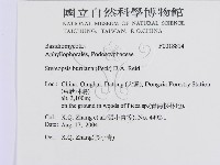 登錄號:F0018814藏品圖，第3張