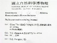 登錄號:F0018815藏品圖，第2張