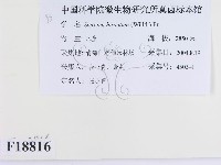 登錄號:F0018816藏品圖，第2張