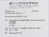 登錄號:F0018816藏品圖，第3張
