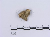 登錄號:F0018816藏品圖，第1張