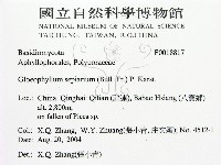登錄號:F0018817藏品圖，第2張