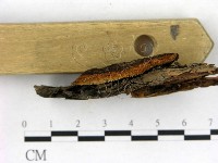 登錄號:F0018818藏品圖，第3張