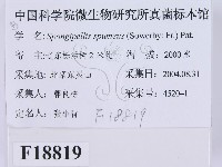 登錄號:F0018819藏品圖，第2張