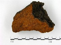 登錄號:F0018821藏品圖，第1張