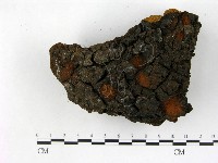 登錄號:F0018821藏品圖，第3張