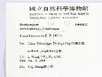 登錄號:F0018822藏品圖，第2張