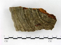 登錄號:F0018822藏品圖，第3張