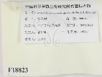 登錄號:F0018823藏品圖，第2張