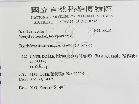 登錄號:F0018823藏品圖，第3張