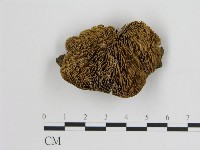 登錄號:F0018823藏品圖，第1張