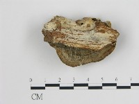 登錄號:F0018823藏品圖，第4張