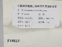 登錄號:F0018824藏品圖，第2張