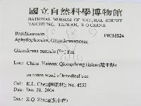登錄號:F0018824藏品圖，第3張