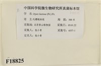 登錄號:F0018825藏品圖，第2張