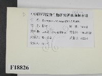 登錄號:F0018826藏品圖，第2張