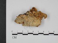 登錄號:F0018826藏品圖，第1張