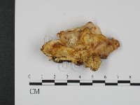 登錄號:F0018826藏品圖，第3張