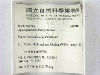 登錄號:F0018828藏品圖，第2張