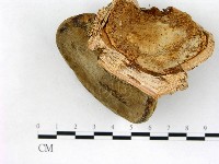 登錄號:F0018828藏品圖，第4張