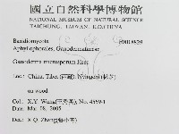 登錄號:F0018829藏品圖，第3張
