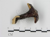 登錄號:F0018829藏品圖，第1張