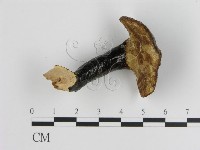 登錄號:F0018829藏品圖，第4張