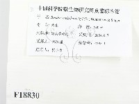 登錄號:F0018830藏品圖，第2張