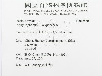 登錄號:F0018830藏品圖，第3張
