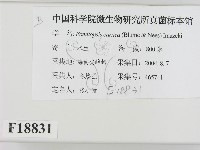 登錄號:F0018831藏品圖，第2張