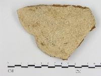 登錄號:F0018831藏品圖，第4張