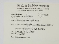 登錄號:F0018832藏品圖，第2張