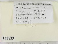 登錄號:F0018833藏品圖，第2張