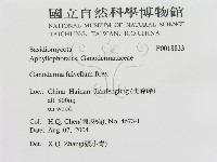 登錄號:F0018833藏品圖，第3張