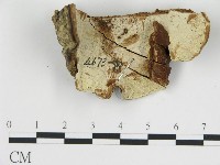 登錄號:F0018833藏品圖，第1張