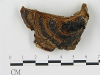 登錄號:F0018833藏品圖，第4張