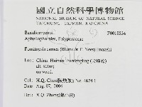 登錄號:F0018834藏品圖，第3張