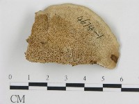 登錄號:F0018834藏品圖，第1張
