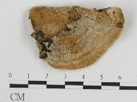 登錄號:F0018834藏品圖，第4張