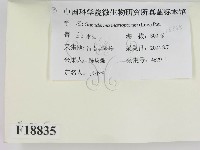 登錄號:F0018835藏品圖，第2張