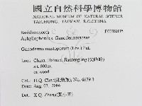 登錄號:F0018835藏品圖，第3張