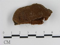 登錄號:F0018835藏品圖，第1張