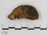 登錄號:F0018835藏品圖，第4張