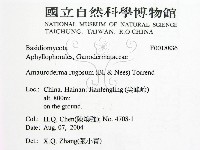 登錄號:F0018836藏品圖，第2張