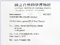 登錄號:F0018837藏品圖，第2張