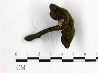 登錄號:F0018837藏品圖，第1張