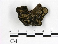 登錄號:F0018837藏品圖，第3張