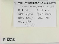 登錄號:F0018838藏品圖，第2張
