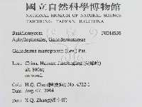 登錄號:F0018838藏品圖，第3張